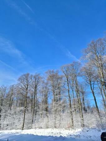 Apartamento Ferienwohnung Eva