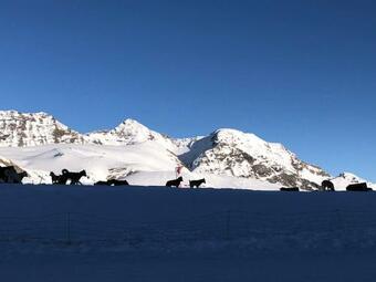 Apartamento Pont De Frappe