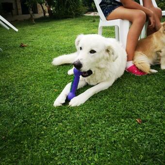 Apartamento Il Tetto Verde