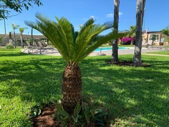 Apartment La Boh�me