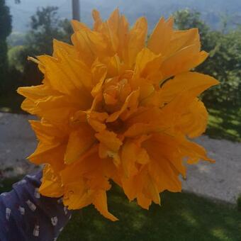 Bed & Breakfast Georgerock