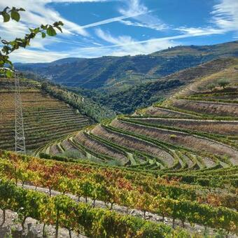 Soalheira Douro House