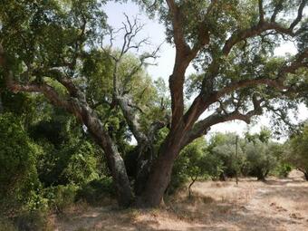 Casa Do Vale Da Terra Negra