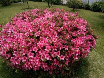 Hostal Vit�ria's House