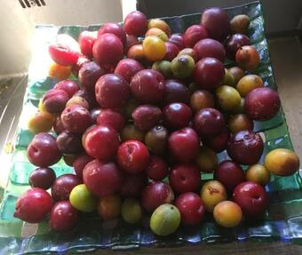 Apartamento Quinta Da Quinta