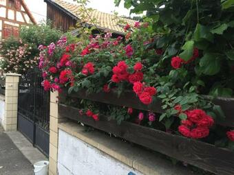 Bed & Breakfast Chambre Spacieuse Dans Joli Village Alsacien
