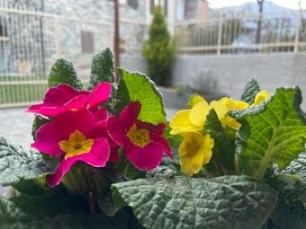 Apartamento Il Nido Di Marty