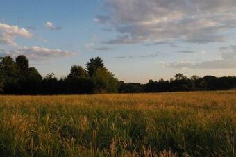 Apartamento La Taverna Alle Cascine