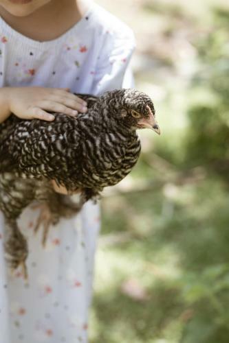 St�ckler Hof - Panorama Chalet