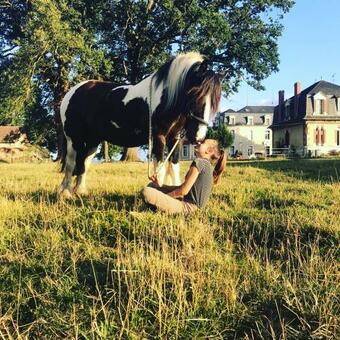 Hostal Chambre Romantique Dans Le Ch�teau De La Bouchatte