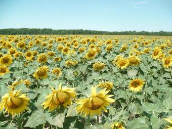 Apartamento La Brazonnerie