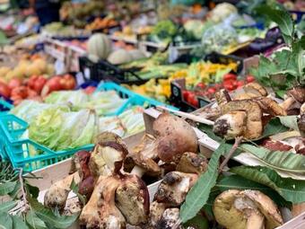 Apartamento Casa Le Rondini Toscana