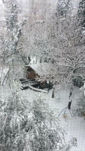 Bed & Breakfast Il Rivo Dei Pioppi