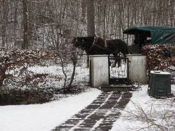 Apartamentos Haus Alpenrose