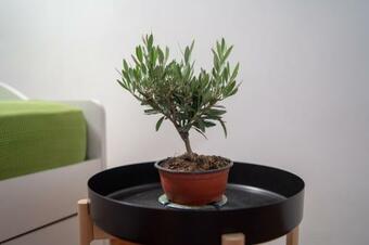 Agroturismo Villa Panella