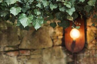 Apartamento Angolo Divino Tuscany