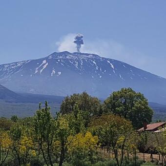 Etna, Salvia E Rosmarino