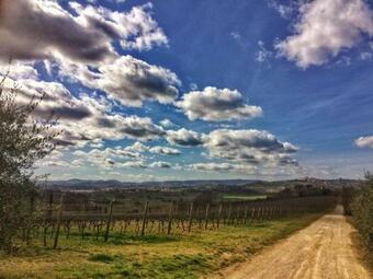 Fattoria Santa Vittoria Apartment Upupa