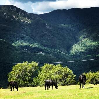 Apartamento Nidi Del Faggio Rosso - Family Holiday Home