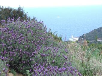 Apartamento Casa Delle Gemelle