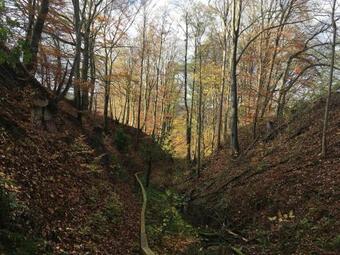 Apartamento Ferienwohnung Franziska