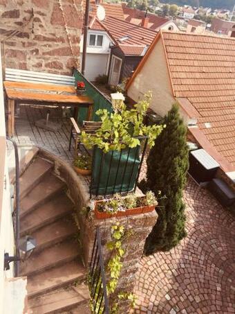 Apartamento Neckarblick,natur, Altstadt