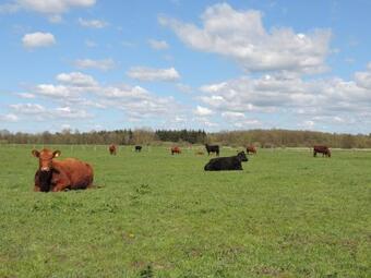 Apartamento Ferienwohnung Blau