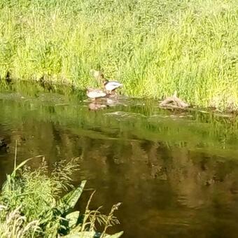 Apartamento Eden 1 Zimmer Appartment