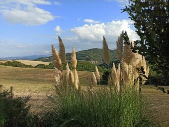 Apartamento Paradiso