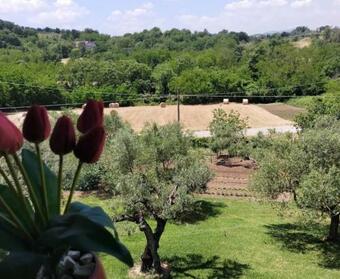 Bed & Breakfast Al Boschetto