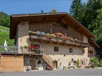 Apartamento Lexnhof - Hofschank