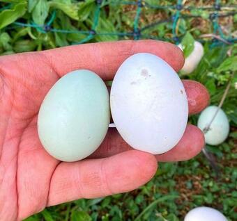 Apartamento Casa Marlene