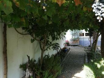 Bed & Breakfast Haus Bienen