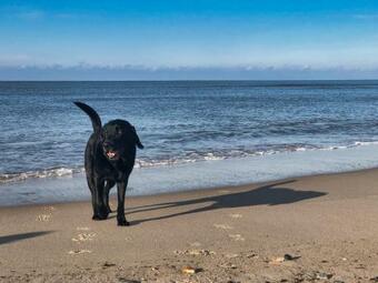 Apartamento Ferienwohnung Kaline