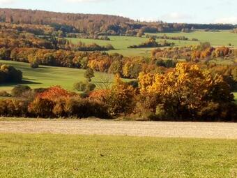 Apartamento Ferienhaus K�mpf