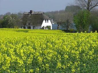 Apartamento De L�tte Im Gulen Hus