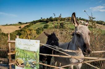 La Fattoria Delle Coccinelle