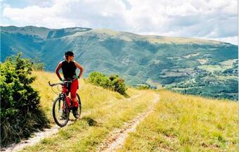 Nice Home In Montegiovi With Wifi And 1 Bedrooms