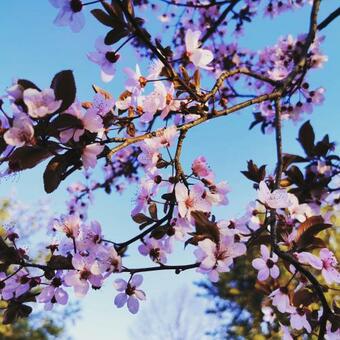 Apartamento Beach House Montesilvano