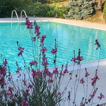 Agroturismo Agriturismo" Il Glicine Bianco"