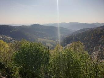 Il Bosco Di Costanza E Ines