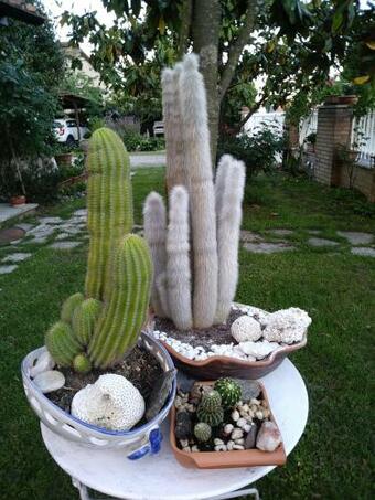 Agroturismo La Serra