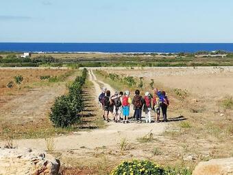Bed & Breakfast Il Giardino Dei Tramonti