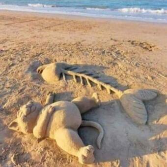 Apartamento 5 Km Zum Strand- L�ndlich Und Doch Mittendrin - Wohnung "ahlbeck"