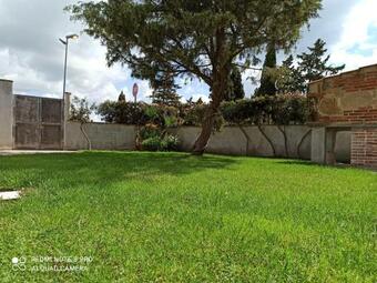 Casa Cao - Grazioso Appartamento A Nurachi