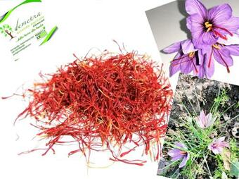 Agroturismo Demetra Azienda Agricola