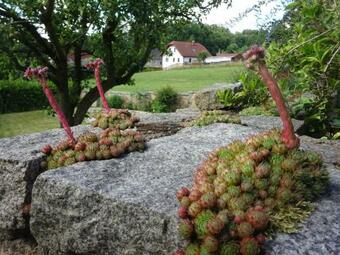 Apartamento Fewo M�hlehof