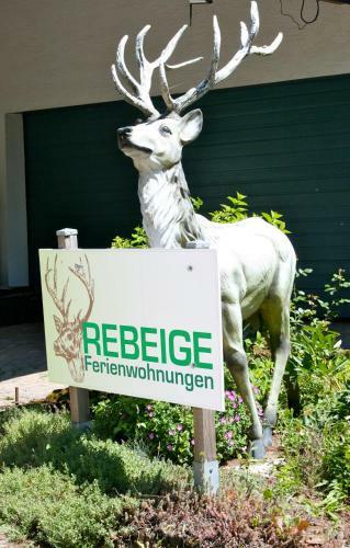 Apartamento Eifel Rebeige Gerolstein