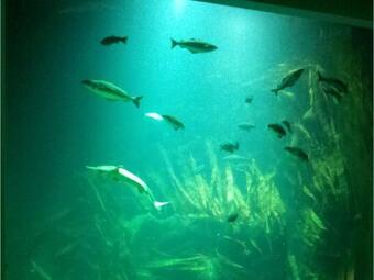 Apartamento Der Mithinghof