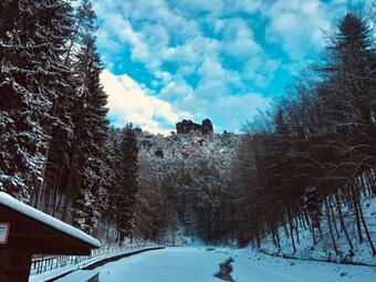 Apartamento Ferienwohnung Am Gr�nbach